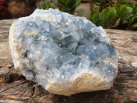 Natural Large Blue Celestite Crystal Specimen  x 1 From Sakoany, Madagascar