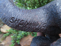 Polished  Ornithischian Dinosaur Carving x 1 From Zimbabwe - TopRock