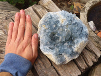 Natural Large Blue Celestite Crystal Specimen  x 1 From Sakoany, Madagascar