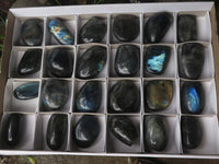 Polished Small Flashy Labradorite Standing Free Forms  x 24 From Tulear, Madagascar - TopRock