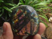 Polished Small Flashy Labradorite Standing Free Forms  x 24 From Tulear, Madagascar - TopRock