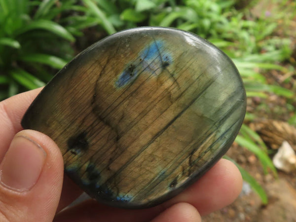 Polished Small Flashy Labradorite Standing Free Forms  x 24 From Tulear, Madagascar - TopRock