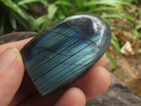 Polished Small Flashy Labradorite Standing Free Forms  x 24 From Tulear, Madagascar - TopRock