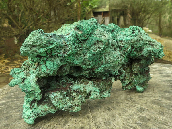 Natural Large Malachite Specimen  x 1 From Congo - TopRock