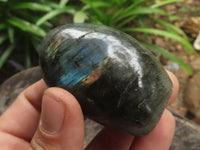 Polished Small Flashy Labradorite Standing Free Forms  x 24 From Tulear, Madagascar - TopRock