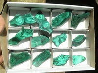 Polished Malachite Slices With Stunning Flower & Banding Patterns  x 12 From Congo - TopRock