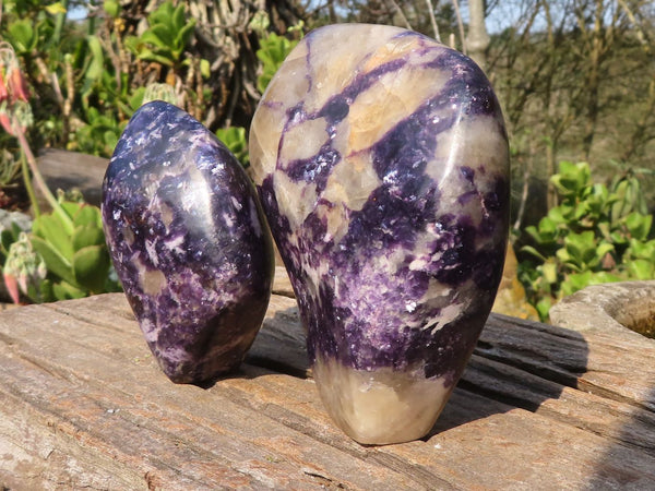 Polished Silver Leaf Lepidolite Standing Free Forms  x 2 From Zimbabwe - Toprock Gemstones and Minerals 