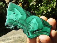 Polished Malachite Slices With Stunning Flower & Banding Patterns  x 12 From Congo - TopRock