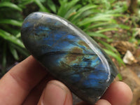 Polished Small Flashy Labradorite Standing Free Forms  x 24 From Tulear, Madagascar - TopRock