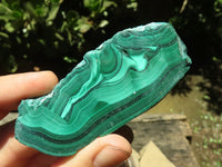 Polished Malachite Slices With Stunning Flower & Banding Patterns  x 12 From Congo - TopRock