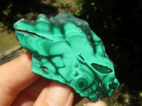 Polished Malachite Slices With Stunning Flower & Banding Patterns  x 12 From Congo - TopRock