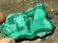 Polished Malachite Slices With Stunning Flower & Banding Patterns  x 12 From Congo - TopRock