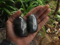 Polished Small Flashy Labradorite Standing Free Forms  x 24 From Tulear, Madagascar - TopRock