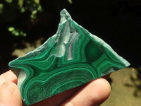 Polished Malachite Slices With Stunning Flower & Banding Patterns  x 12 From Congo - TopRock