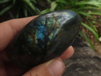 Polished Small Flashy Labradorite Standing Free Forms  x 24 From Tulear, Madagascar - TopRock