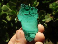 Polished Malachite Slices With Stunning Flower & Banding Patterns  x 12 From Congo - TopRock