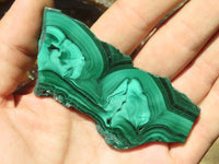 Polished Malachite Slices With Stunning Flower & Banding Patterns  x 12 From Congo - TopRock