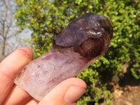 Natural Large Sceptre & Skeletal Smokey Amethyst Crystals  x 6 From Chiredzi, Zimbabwe