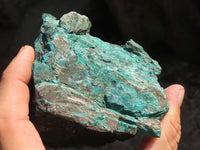 Natural Rough Shattuckite With Malachite & Cuprite Specimens  x 3 From Kaokoveld, Namibia - Toprock Gemstones and Minerals 