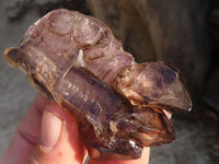 Natural Large Sceptre & Skeletal Smokey Amethyst Crystals  x 6 From Chiredzi, Zimbabwe