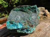 Natural Rough Shattuckite With Malachite & Cuprite Specimens  x 3 From Kaokoveld, Namibia - Toprock Gemstones and Minerals 