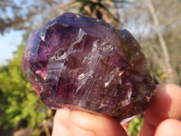 Natural Large Sceptre & Skeletal Smokey Amethyst Crystals  x 6 From Chiredzi, Zimbabwe