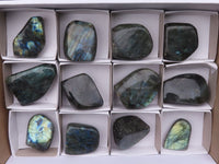 Polished Small Labradorite Standing Free Forms With Blue & Gold Flash x 12 From Tulear, Madagascar - TopRock