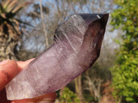 Natural Large Sceptre & Skeletal Smokey Amethyst Crystals  x 6 From Chiredzi, Zimbabwe