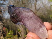 Natural Large Sceptre & Skeletal Smokey Amethyst Crystals  x 6 From Chiredzi, Zimbabwe