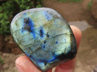 Polished Small Labradorite Standing Free Forms With Blue & Gold Flash x 12 From Tulear, Madagascar - TopRock