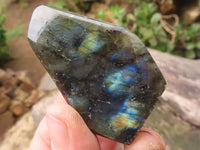 Polished Small Labradorite Standing Free Forms With Blue & Gold Flash x 12 From Tulear, Madagascar - TopRock