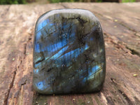 Polished Small Labradorite Standing Free Forms With Blue & Gold Flash x 12 From Tulear, Madagascar - TopRock