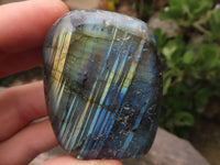 Polished Small Labradorite Standing Free Forms With Blue & Gold Flash x 12 From Tulear, Madagascar - TopRock