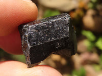 Natural Alluvial Schorl Black Tourmaline Rough Crystals  x 63 From Zambia - TopRock