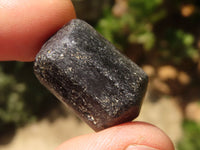 Natural Alluvial Schorl Black Tourmaline Rough Crystals  x 63 From Zambia - TopRock