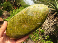 Polished Large Green Opal Standing Free Form x 1 From Madagascar - Toprock Gemstones and Minerals 