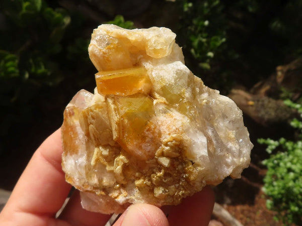 Natural Golden Limonite / Lemonite Quartz Clusters  x 24 From Zambia - Toprock Gemstones and Minerals 