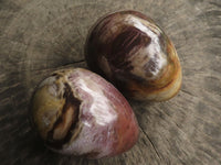 Polished Petrified Red Podocarpus Wood Eggs x 2 From Madagascar - TopRock