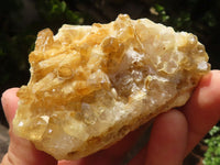 Natural Golden Limonite / Lemonite Quartz Clusters  x 24 From Zambia - Toprock Gemstones and Minerals 