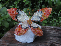 Polished Large Gemstone Butterfly - sold per piece From South Africa - TopRock