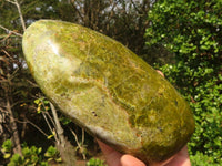 Polished Large Green Opal Standing Free Form x 1 From Madagascar - Toprock Gemstones and Minerals 