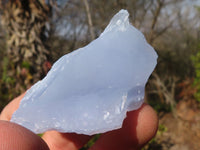 Natural Etched Blue Chalcedony Specimens  x 35 From Nsanje, Malawi