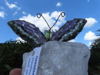 Polished Large Gemstone Butterfly - sold per piece From South Africa - TopRock