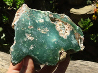 Polished Emerald Mtorolite / Chrome Chrysoprase Plates  x 4 From Zimbabwe - TopRock