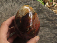 Polished Petrified Red Podocarpus Wood Eggs x 2 From Madagascar - TopRock