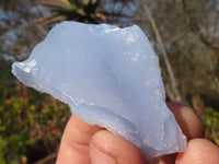 Natural Etched Blue Chalcedony Specimens  x 35 From Nsanje, Malawi