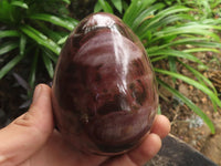 Polished Petrified Red Podocarpus Wood Eggs x 2 From Madagascar - TopRock