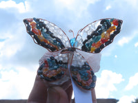 Polished Large Gemstone Butterfly - sold per piece From South Africa - TopRock