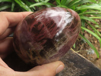 Polished Petrified Red Podocarpus Wood Eggs x 2 From Madagascar - TopRock