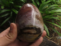 Polished Petrified Red Podocarpus Wood Eggs x 2 From Madagascar - TopRock